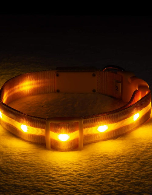 Load image into Gallery viewer, &#39; Safety LED Dog Collar – USB Rechargeable with Water Resistant Flashing Light
