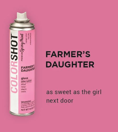 Premium Multi-Surface Gloss Farmers Daughter Spray Paint - 10 Oz - Pink