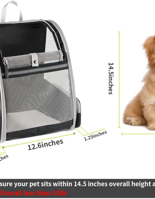 Load image into Gallery viewer, Pet Backpack Carrier for Small Cats Dogs | Ventilated Design, Safety Straps, Buckle Support, Collapsible | Designed for Travel, Hiking, Walking &amp; Outdoor Use
