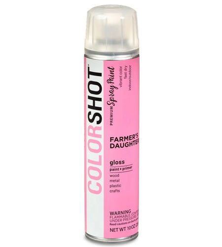 Premium Multi-Surface Gloss Farmers Daughter Spray Paint - 10 Oz - Pink